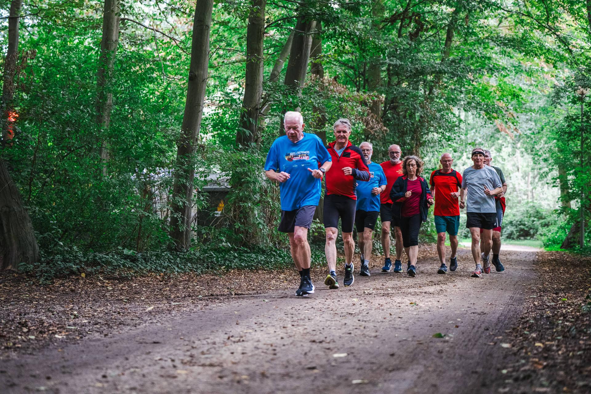 Die Laufgruppe des GSV Geldern läuft in lockerer Formation über einen von hohen Bäumen gesäumten Waldweg